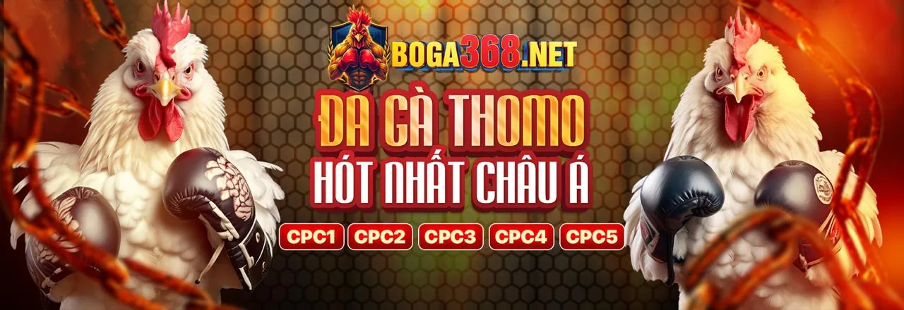 Khuyến Mãi ball88 link mới