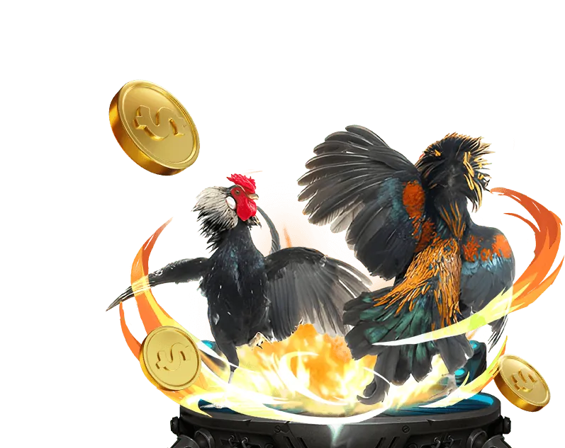 Tổng quan về nền tảng ball88 Casino
